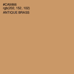 #CA9866 - Antique Brass Color Image